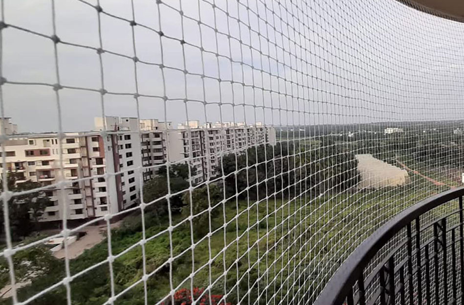 Bird Net